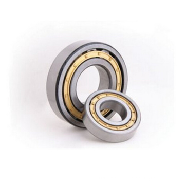 Low Noise Hot-Sale Cylindrical Roller Bearing Nup2207